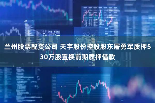兰州股票配资公司 天宇股份控股股东屠勇军质押530万股置换前期质押借款