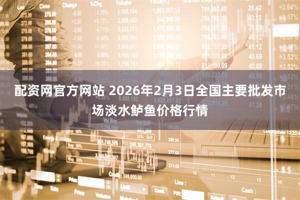 配资网官方网站 2026年2月3日全国主要批发市场淡水鲈鱼价格行情